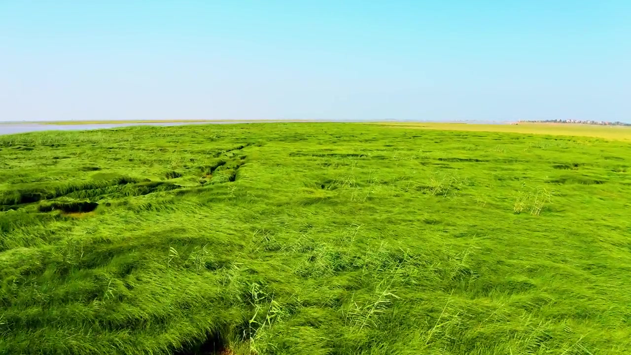 詳情圖-鄱陽湖濕地草原航拍