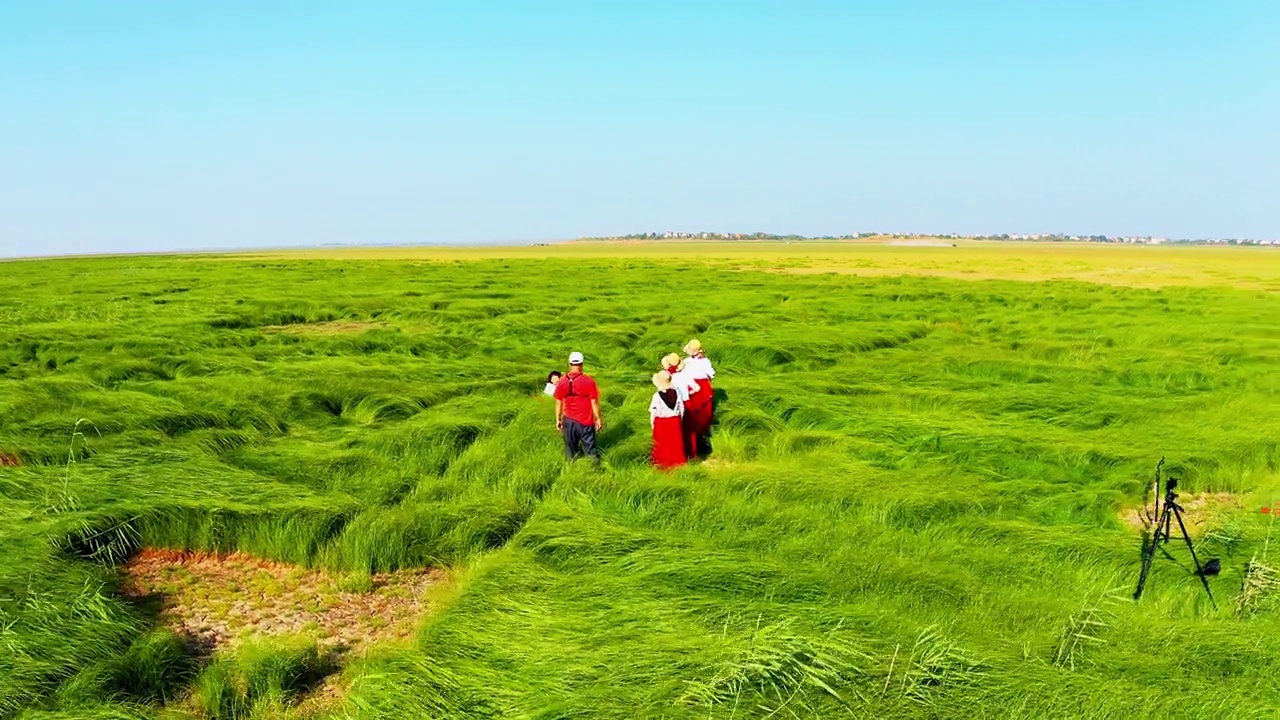 詳情圖-鄱陽(yáng)湖濕地草原航拍