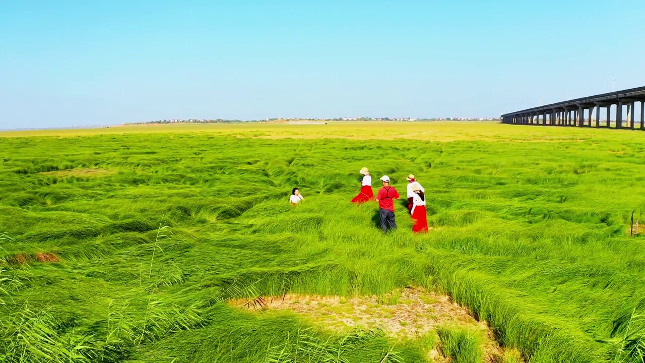 詳情圖-鄱陽(yáng)湖濕地草原航拍