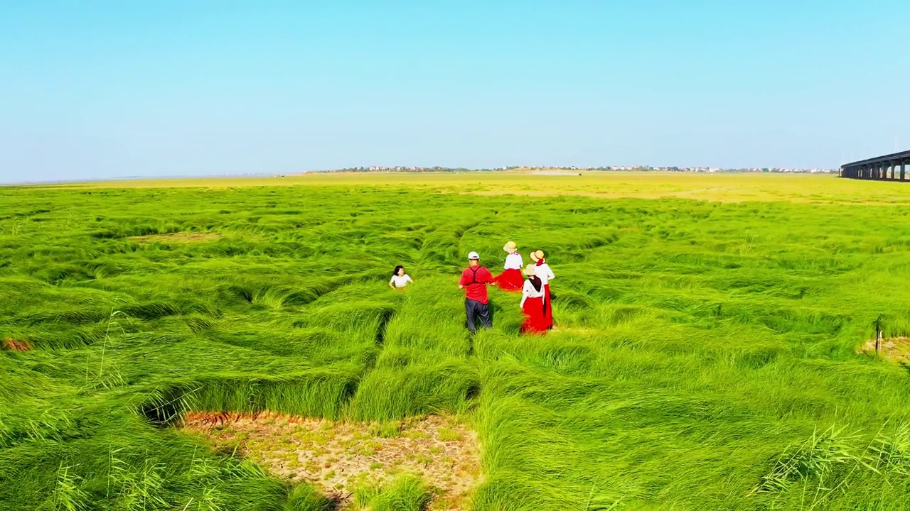 詳情圖-鄱陽(yáng)湖濕地草原航拍