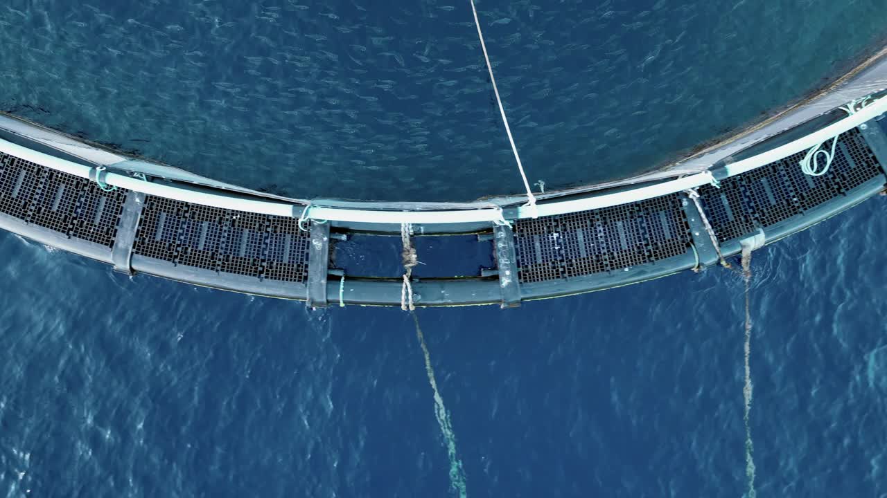 水产养殖海鱼养殖场网含有数百万条鱼