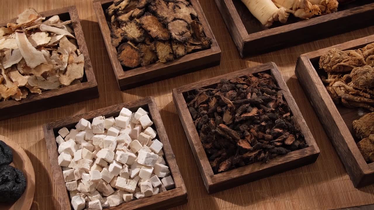 詳情圖-傳統(tǒng)醫(yī)學(xué)視頻