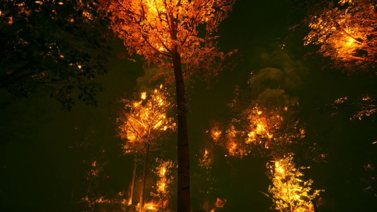 森林大火产生的强烈火焰