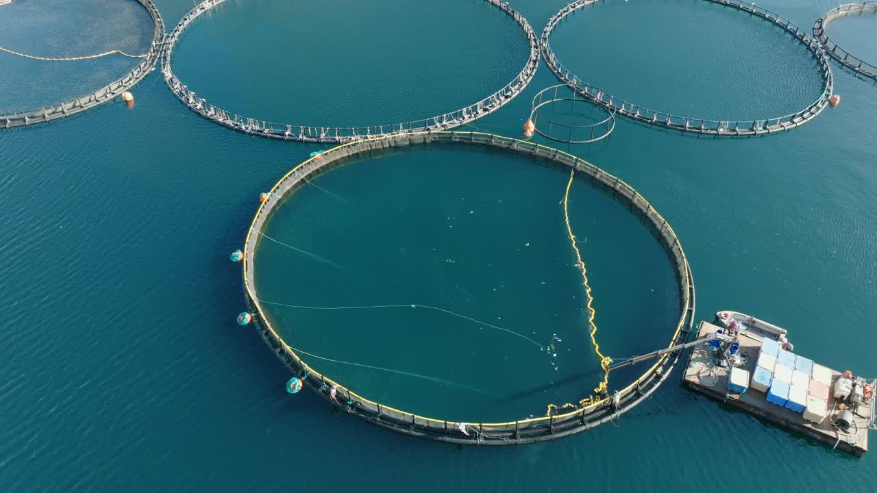 在希腊海上乘船从养鱼场的苗圃里收集鱼。天然海水中的养鱼者。海中观岛。鸟瞰图。海鲜。旅行。旅游