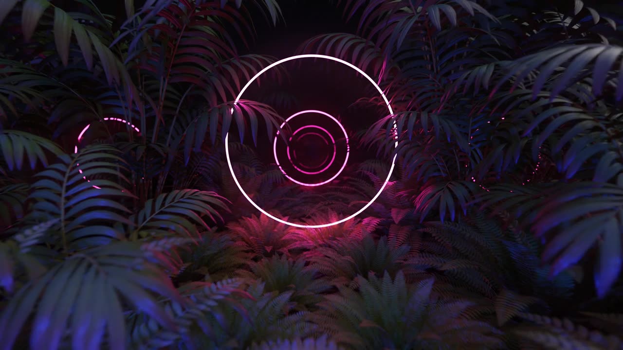 详情图-在森林里发光的霓虹灯圈