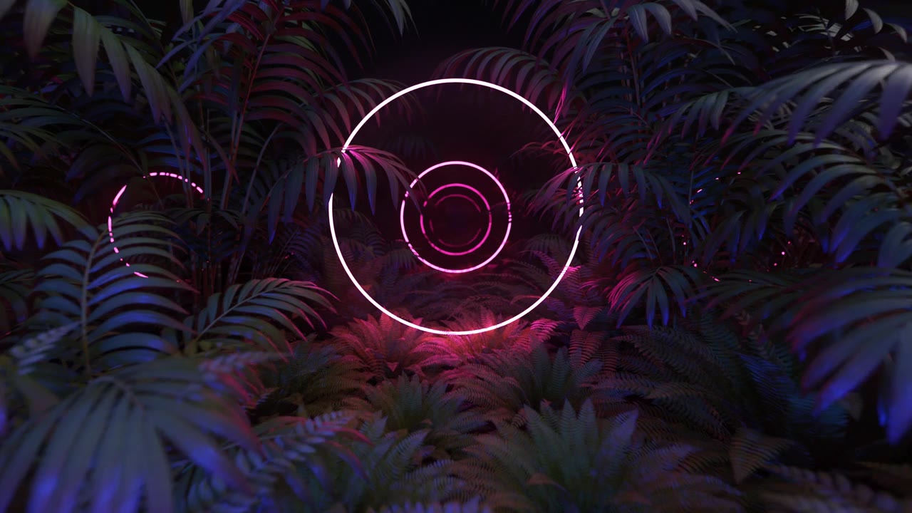 详情图-在森林里发光的霓虹灯圈