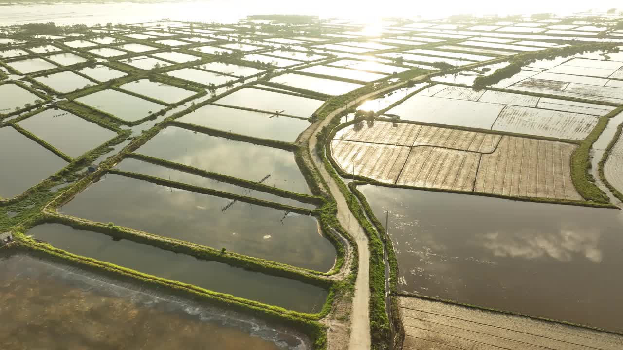 沿着Tam Giang泻湖，顺化顺化省广泛的虾养殖池塘的航拍视频