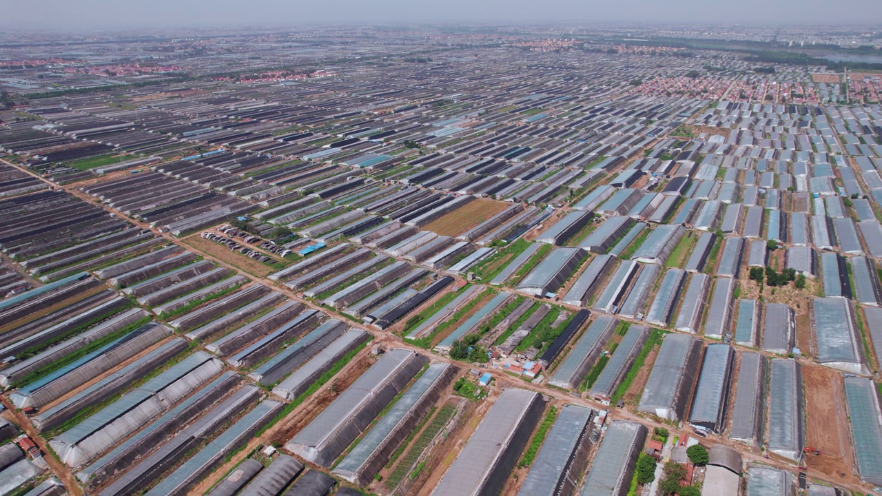 详情图-中国农场现代温室种植的航空摄影