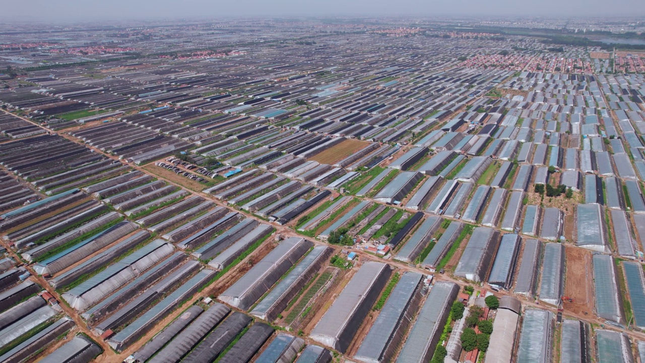 详情图-中国农场现代温室种植的航空摄影