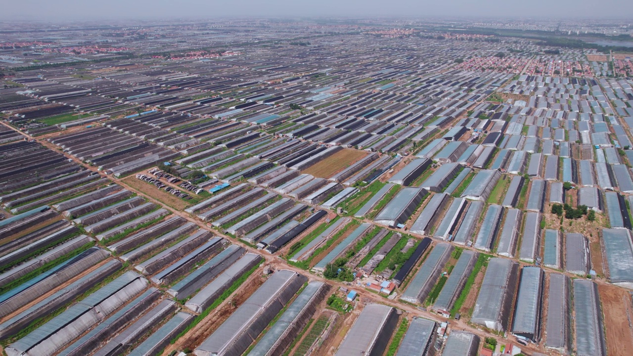 详情图-中国农场现代温室种植的航空摄影