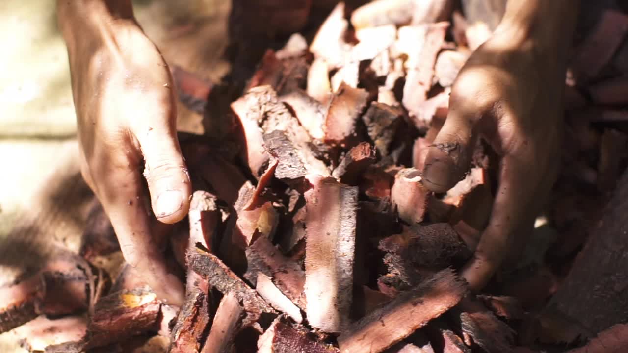 一个人的手拿着一块被切成小块染色的木头。