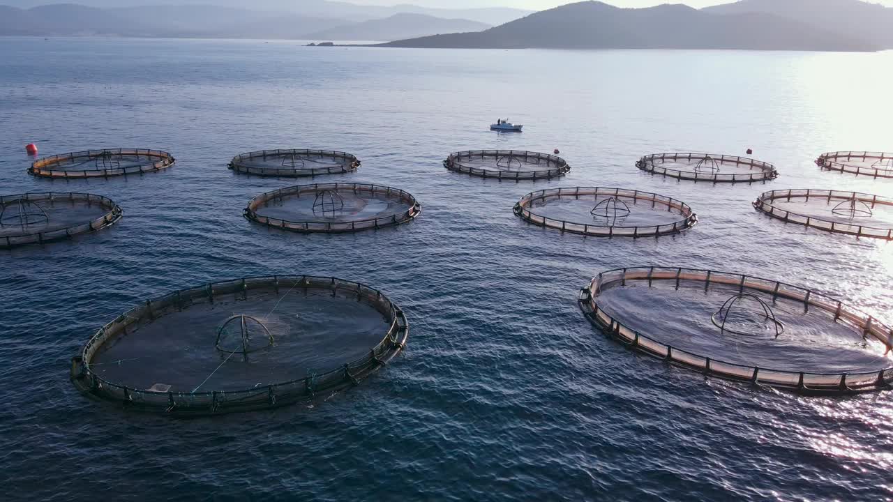 爱琴海养殖网箱养鱼场