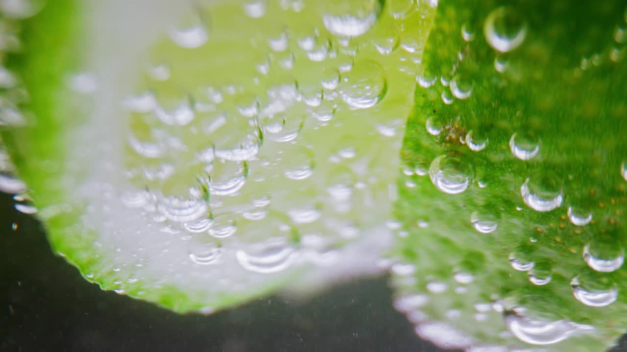 气泡饮料和柠檬片在玻璃杯近距离。在工作室里用微距镜头在家里制作伏特加或白朗姆酒的酸酒鸡尾酒。饮用气泡水作为排毒液或纯矿泉水