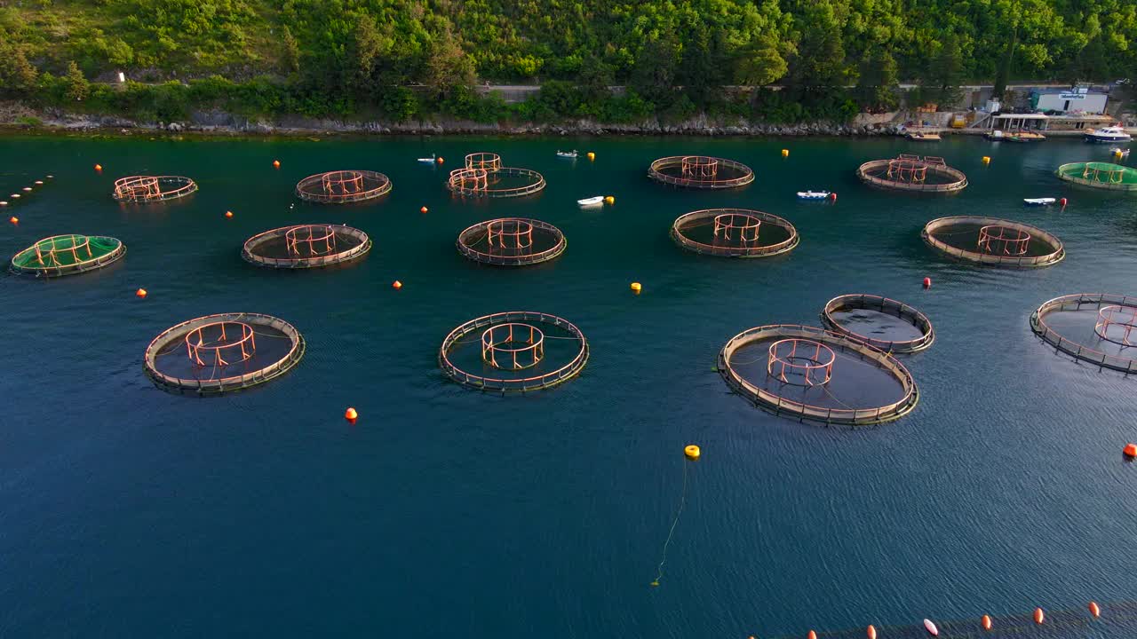 渔场沿海的海洋养殖场，以圆形网结构为特色，养殖软体动物、鱼和虾摄像机展示了农场的鸟瞰图，突出了渔网独特的形状和图案，以及清澈的蓝色海水