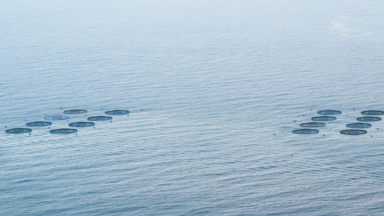 可持续水产养殖:阿利坎特卡尔佩海岸的鱼类养殖