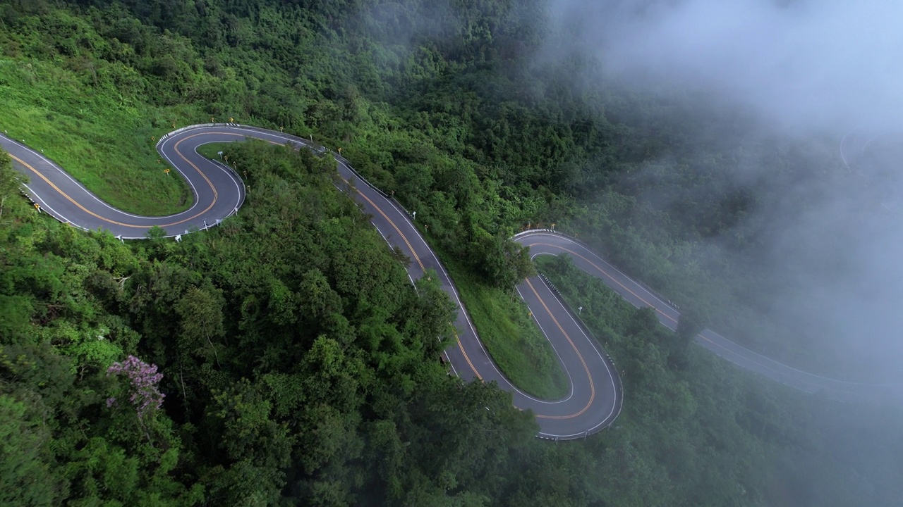详情图-森林中的乡村道路鸟瞰图。