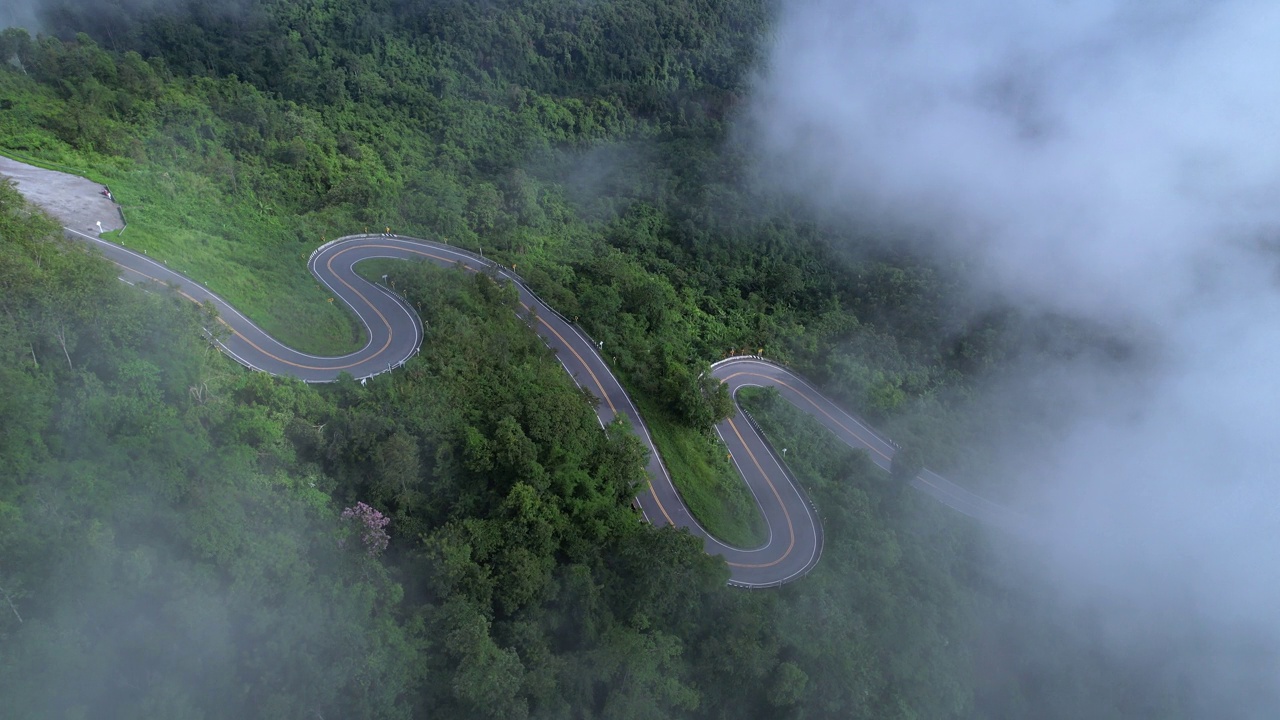 详情图-森林中的乡村道路鸟瞰图。