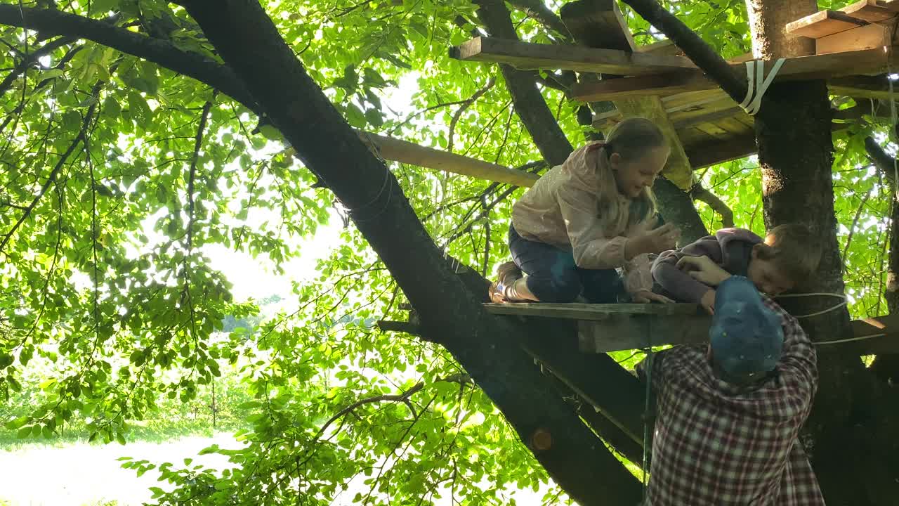 孩子们的树屋鼓励父亲在阳光下的绳梯茂盛的树叶