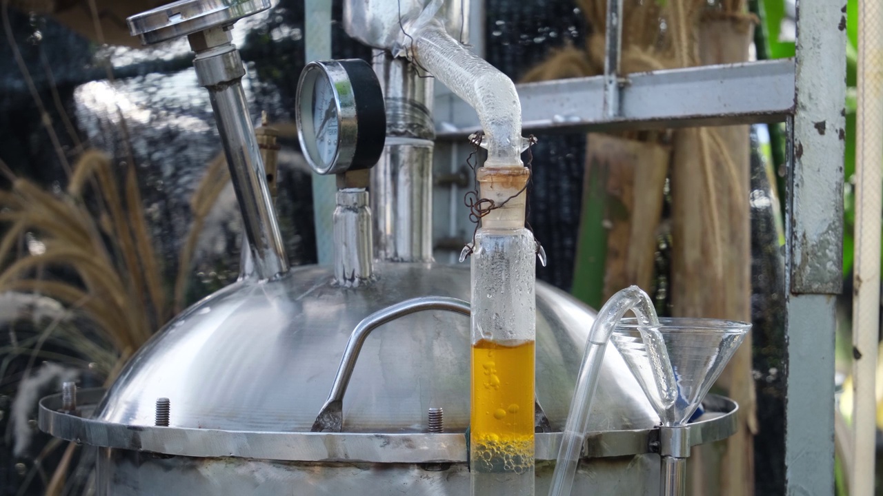 精油蒸馏