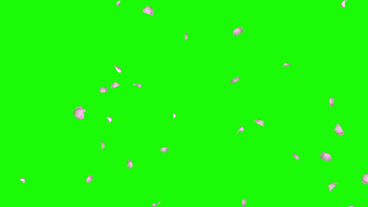 详情图-浪漫飘落旋转粉红色玫瑰花瓣樱花背景。订婚,结婚