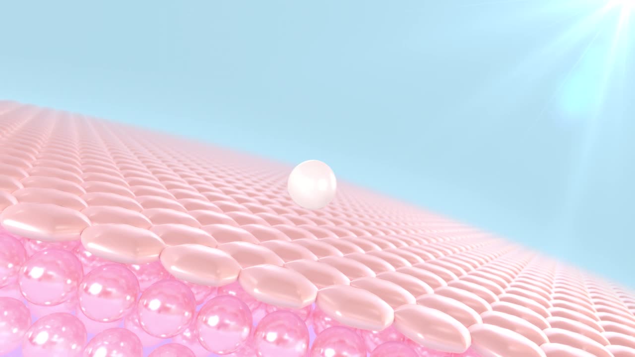 防紫外线3D动画皮肤细胞