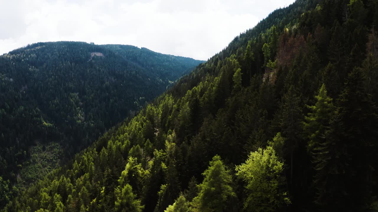无人机拍摄的意大利山区树木的广角照片。