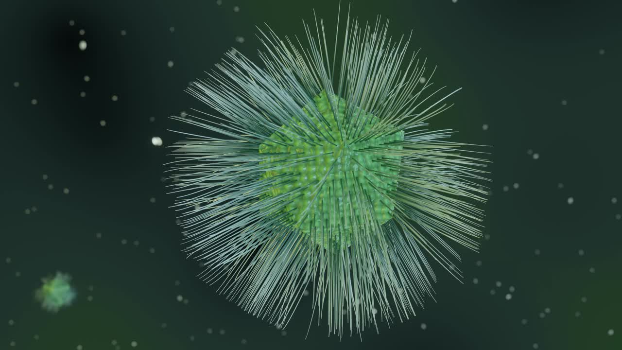 棘阿米巴多食性mimivirus (APMV)动画