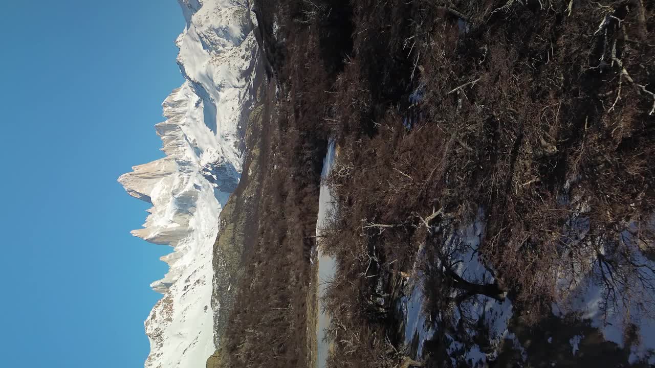 垂直飞行在巴塔哥尼亚森林景观和白雪覆盖的菲茨罗伊山在背景照明的太阳