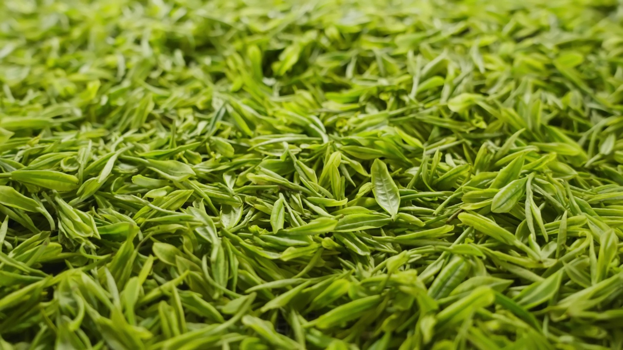 中国茶的手工制作过程，采摘，烘干，炒茶，