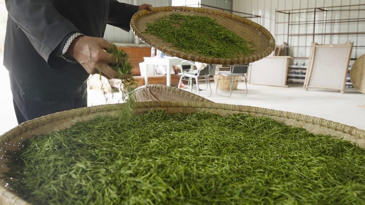 中国茶的手工制作过程，采摘，烘干，炒茶，
