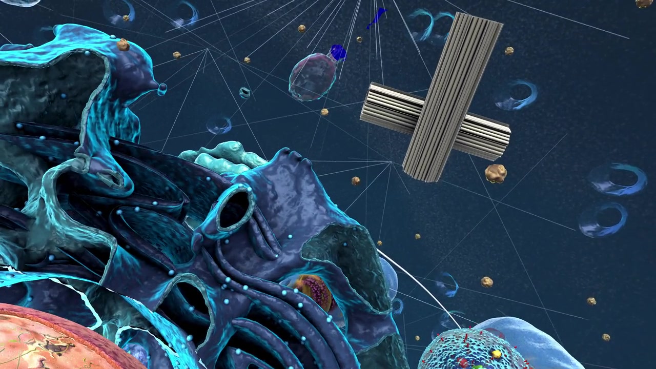 详情图-真核生物或真核细胞内的细胞器，聚焦于溶酶体，细胞的组成部分-三维插图