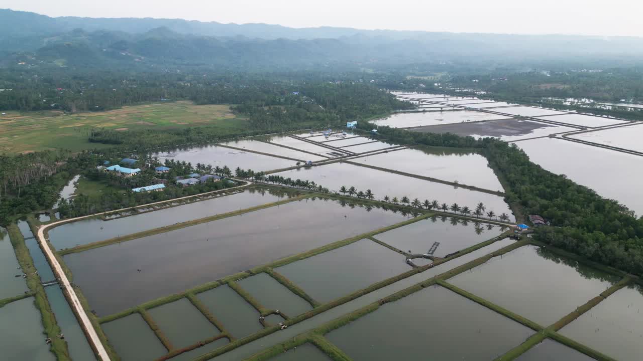 遮目鱼养殖场水库池塘养殖空中前摄，菲律宾