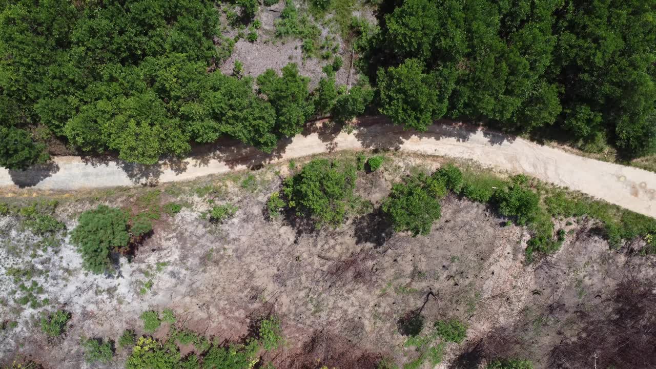 越野狩猎吉普车在自然探险的道路上行驶-马达加斯加，非洲