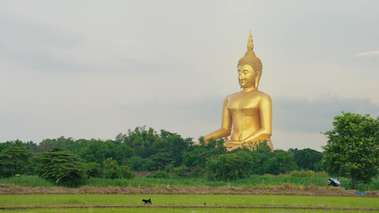 佛祖Maha Nawaminthra释迦牟尼Sriwiset Chaichan或Luang Pho Yai是世界上最大的佛像。泰国安通省芒府的大佛雕像