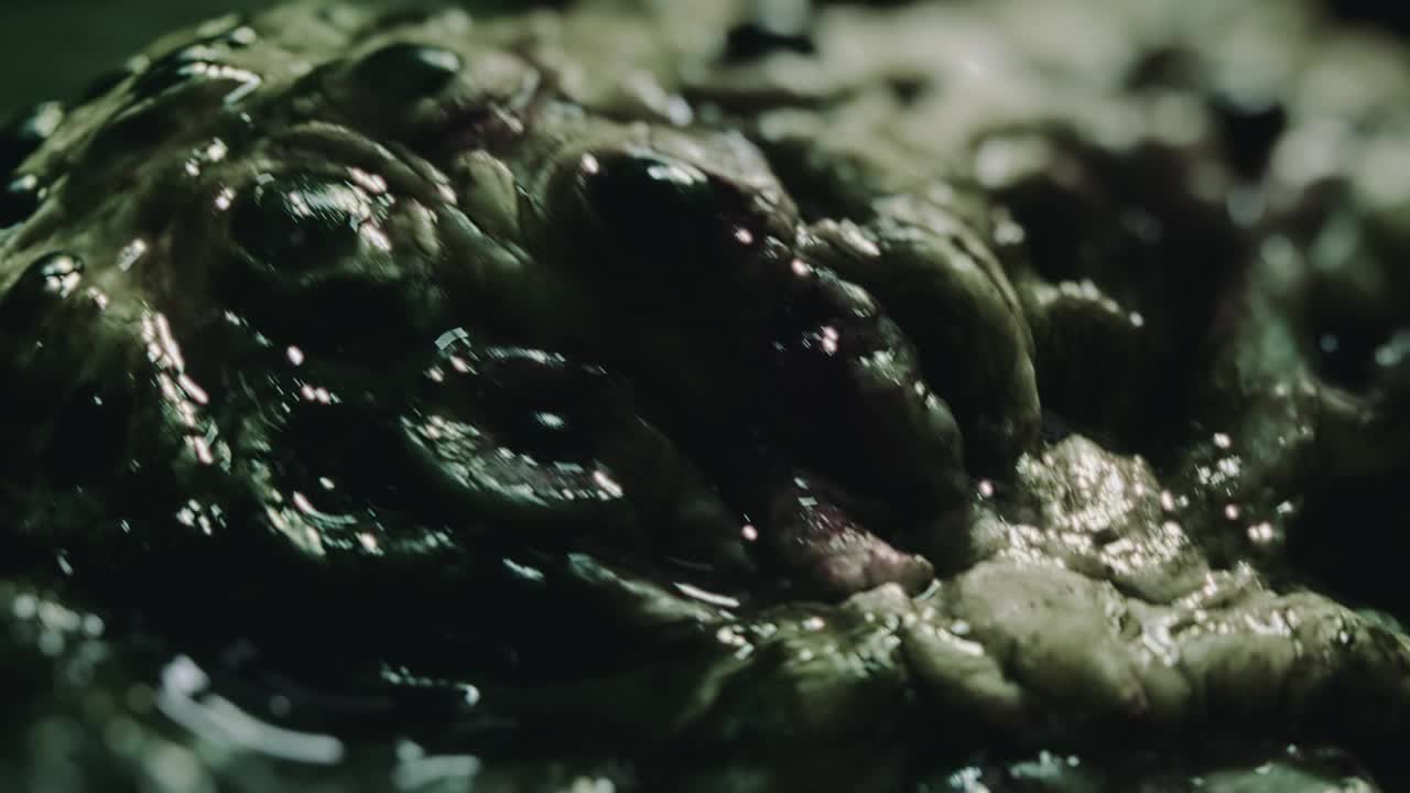 有许多眼睛的恶心的爬行外星生物的特写。科幻、科幻题材的电影。密集恐惧症的概念。恐怖电影片段。外星怪物。寄生虫。
