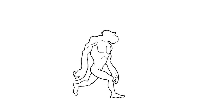 人类进化。变形。Loopable。α无光。