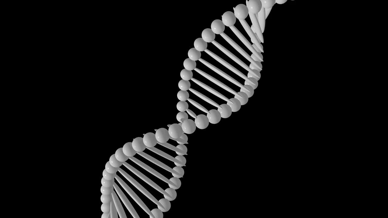 从黑色背景中分离出的DNA分子。抽象白色DNA旋转动画。科学和医学概念。旋转DNA的无缝循环动画