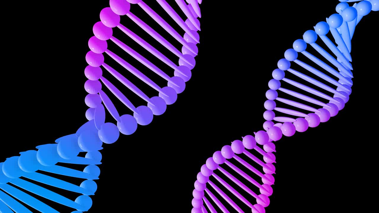 从白色背景中分离出的DNA分子。抽象白色DNA旋转动画。科学和医学概念。旋转DNA的无缝循环动画