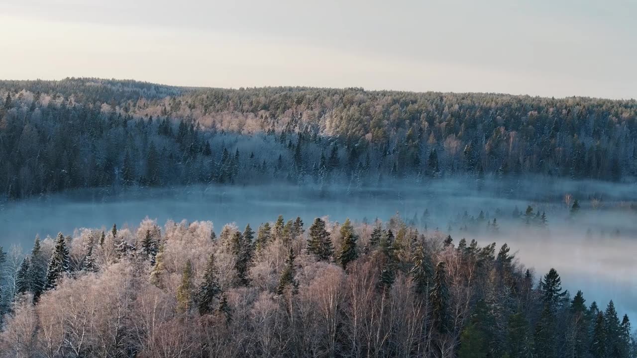 详情图-努克西奥国家公园中芬兰森林的鸟瞰图