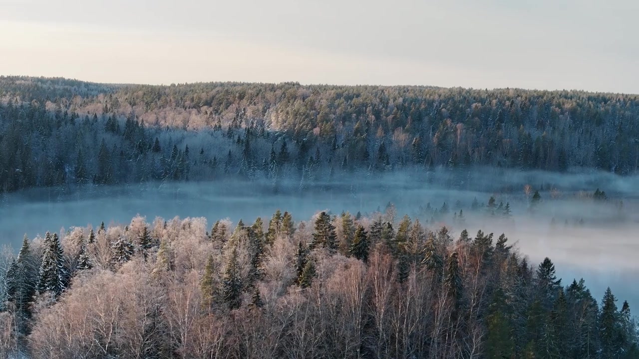 详情图-努克西奥国家公园中芬兰森林的鸟瞰图