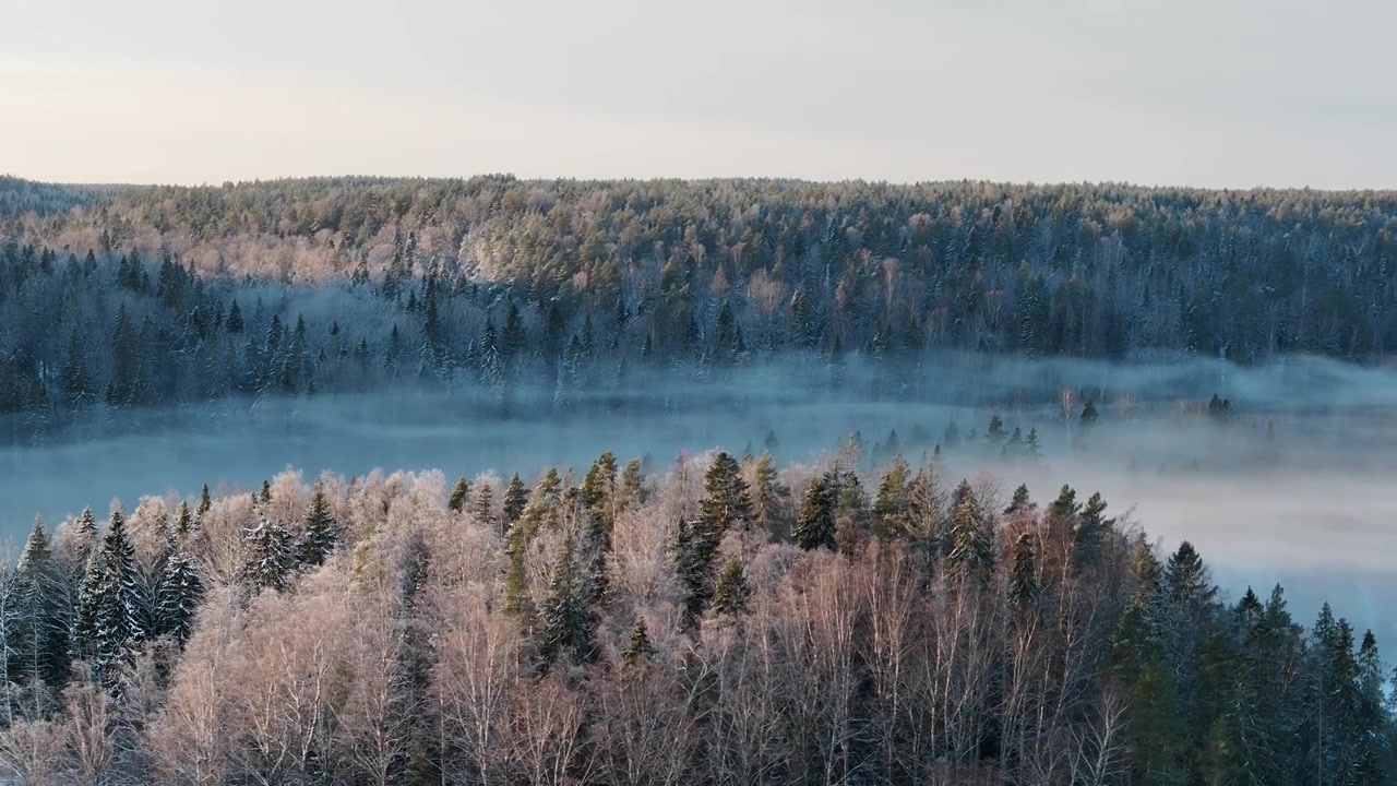 详情图-努克西奥国家公园中芬兰森林的鸟瞰图