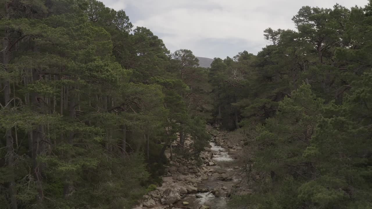 空中回拉热气球森林自然景观，飞越瀑布，河流和桥梁在苏格兰，英国