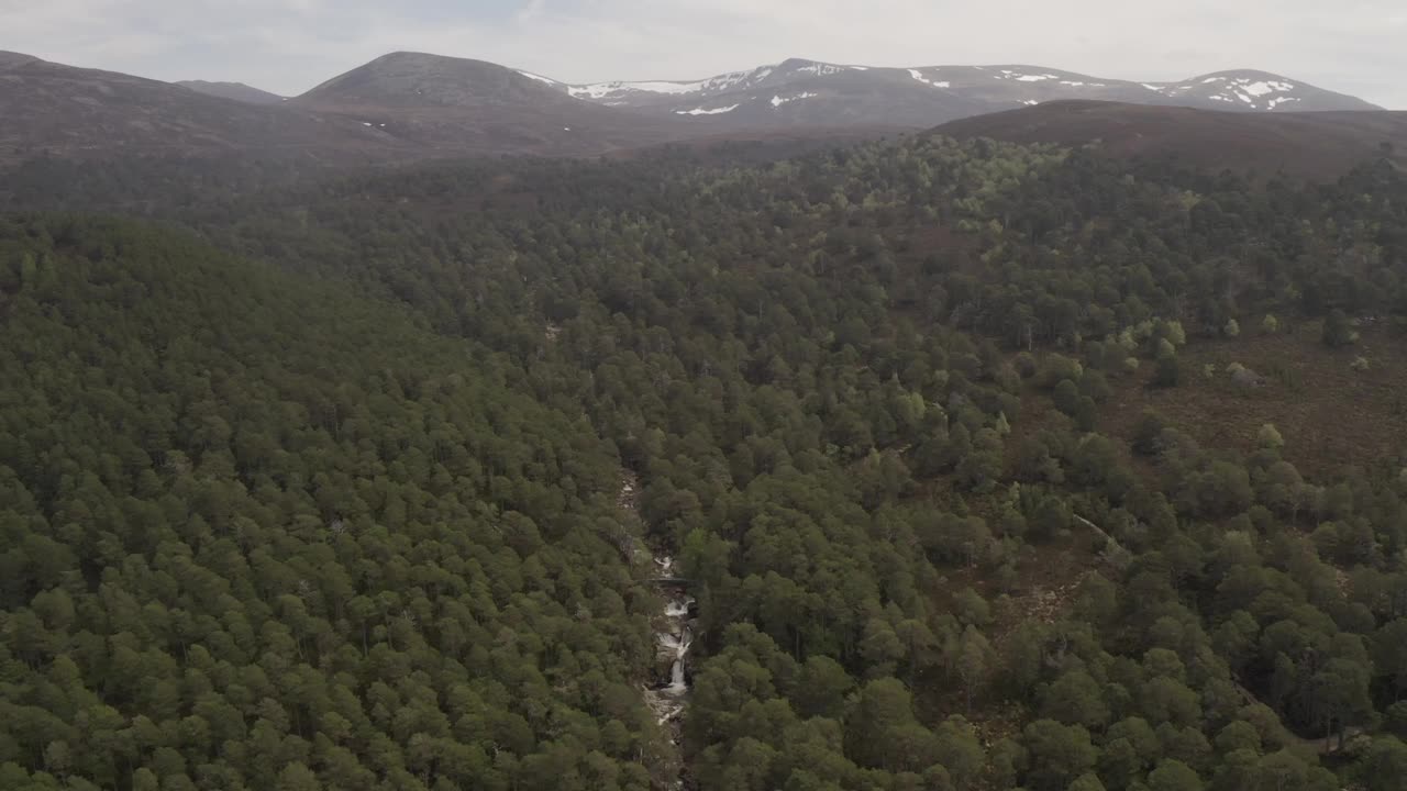 在英国苏格兰的迪伊山谷的树木、河流和瀑布上移动，野生林地自然与山脉在地平线上