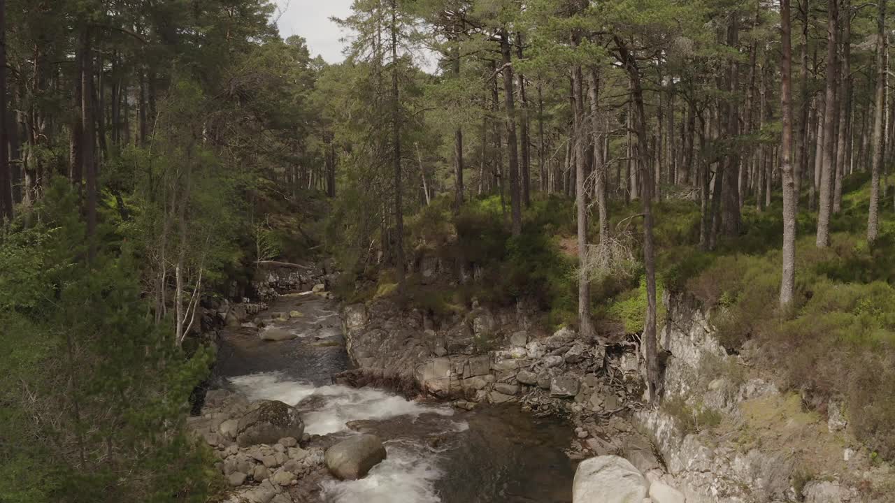 在阳光明媚的日子里穿过气球森林的瀑布和树木，这是英国苏格兰的苏格兰自然景观