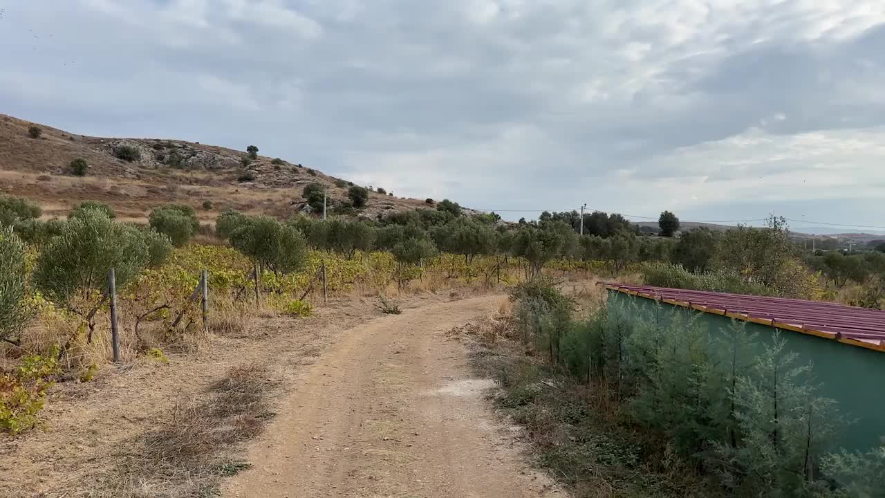 拖拉机行驶在乡间小路上。开车穿过一条被开阔的自然平原环绕的乡村公路。朝着日落的方向。土耳其Bozcaada公路在夏天。没有人。