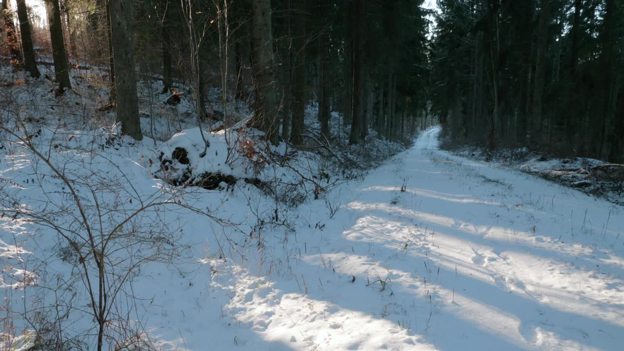 在瑞典，人们在雪林小路上远离镜头