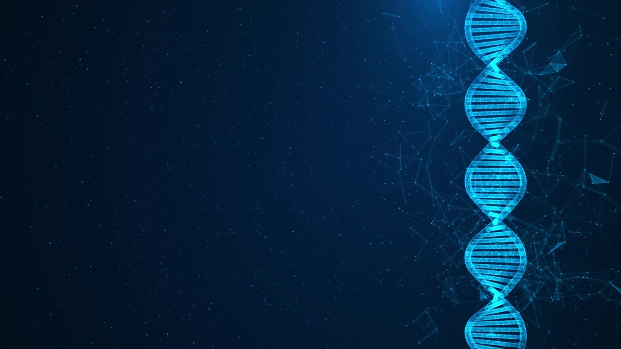 DNA分子粒子的动画。数字DNA，人类基因组。医学研究，基因研究