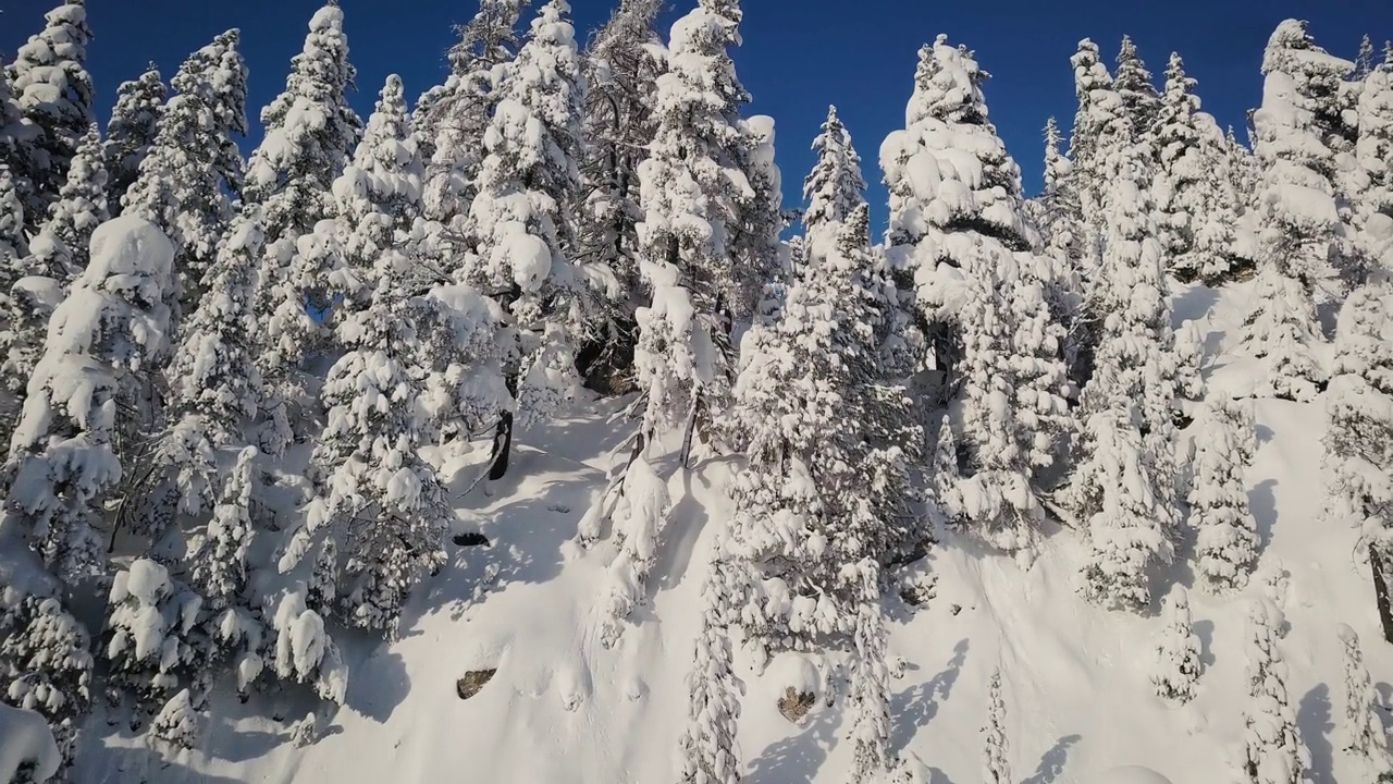 瑞士阿尔卑斯山附近山坡上的松树被雪覆盖，从上面俯瞰这一有趣的景象。无人机航拍画面