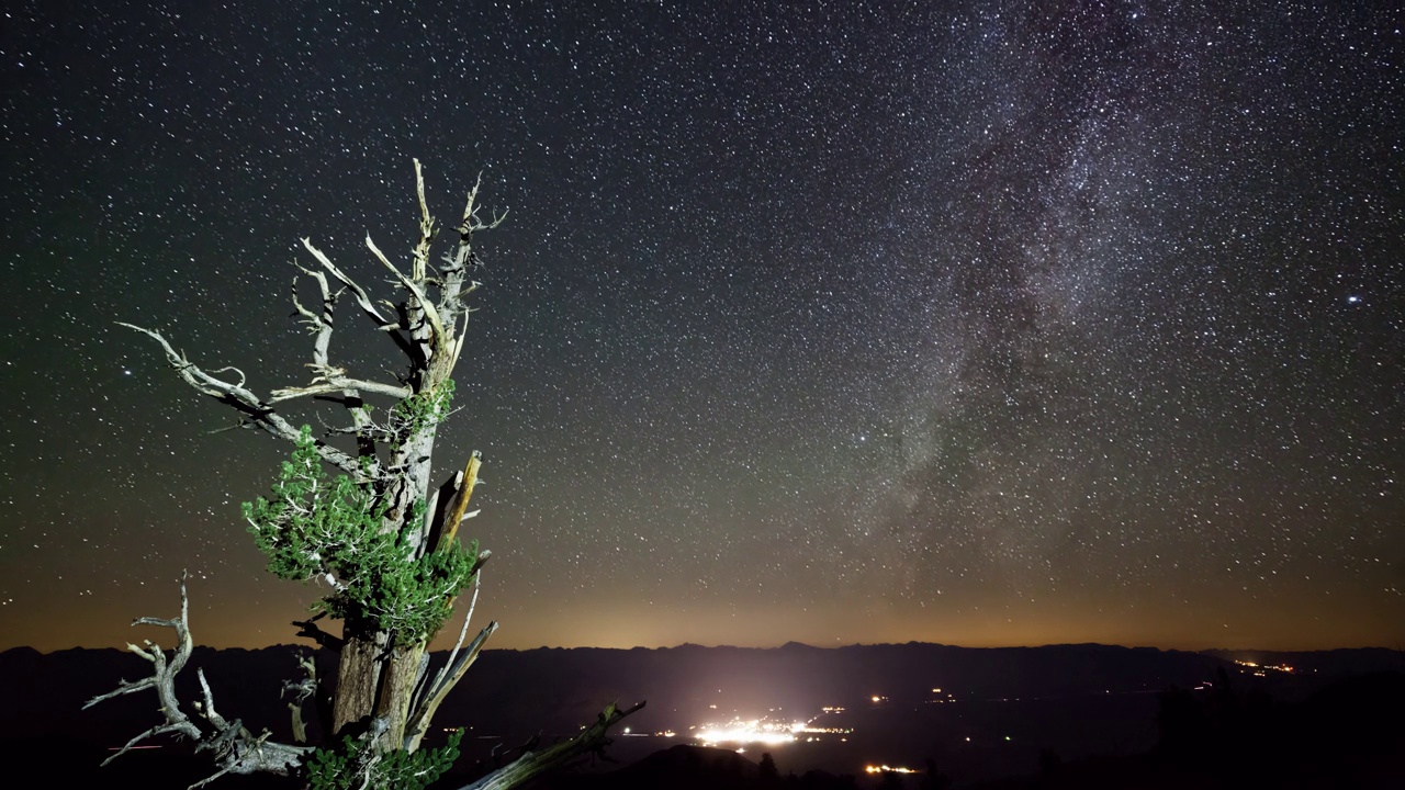 星空星空延时狐尾狐