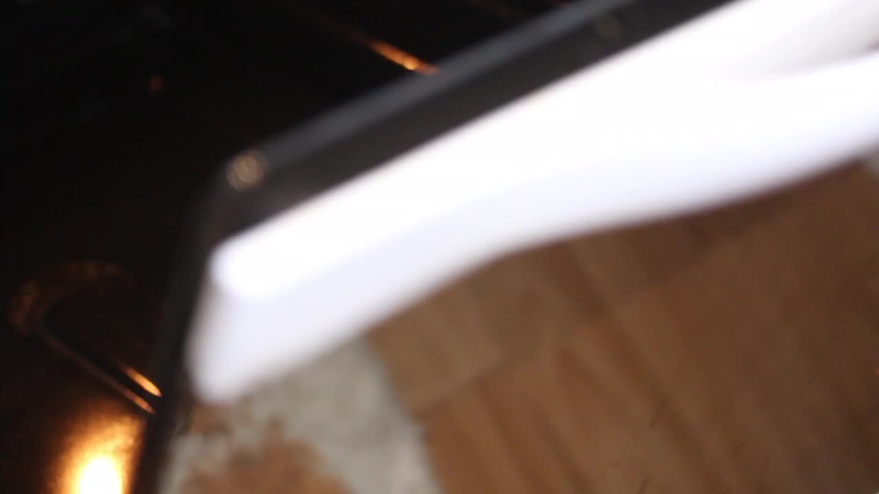 一个男人把烤盘和河鱼放在烤箱里。一只猫在附近转过身来。特写镜头。